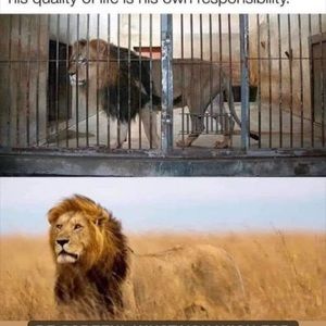 Meet your Posher, Shaun